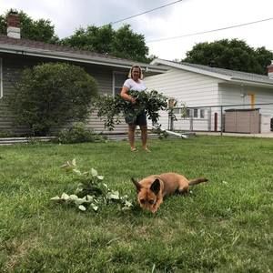 Meet your Posher, Beth